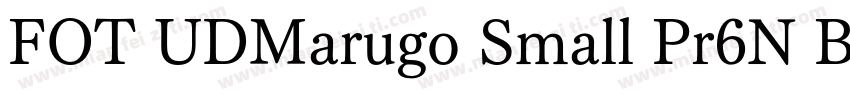 FOT UDMarugo Small Pr6N Bold字体转换